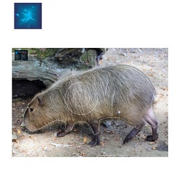 ACTILIA BLASON CAPYBARA 4