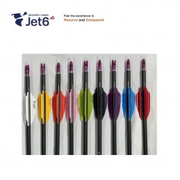 HERACLES ARCHERIE FRANCE BORDEAUX PLUMES PLASTIQUES K&K KOREA ARCHERY JET6 GHOST JET 6 MENETROL